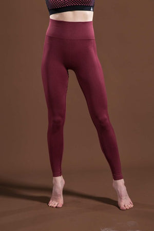 Yoga Sport Leggings Quick Dry